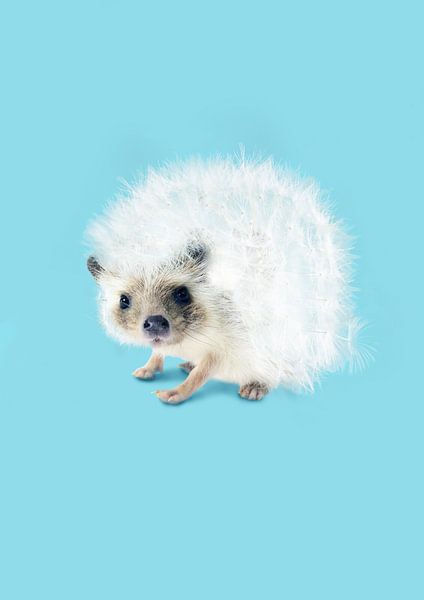 Stachelig wie Löwenzahn von 360brain