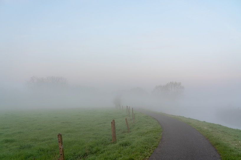 Matinée brumeuse le long de la Dender par Marcel Derweduwen
