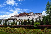 Magical  Potala  Palace