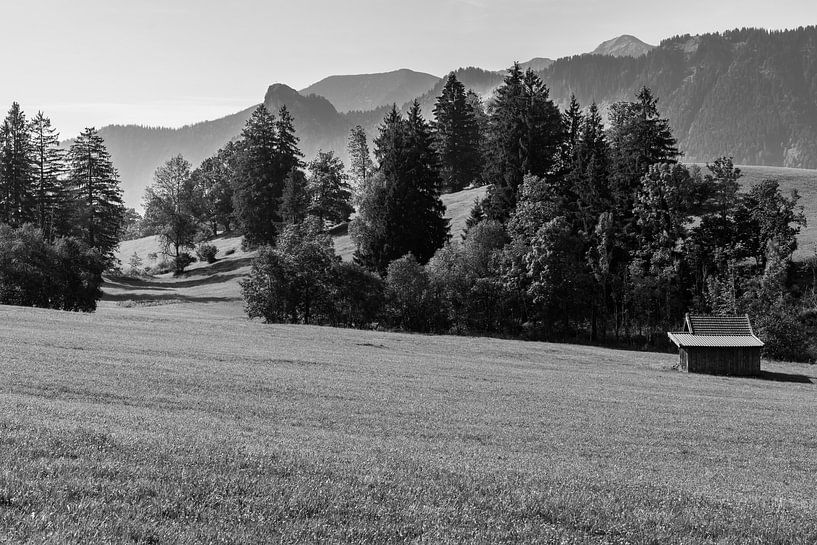 Hot summer morning in German nature by Werner Lerooy