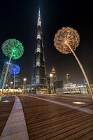 Les pissenlits et le Burj Khalifa