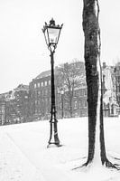 Powder snow decorates lanterns and trees on the Singel