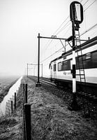 Un train typiquement Hollandais sort du brouillard et passe un signal ferroviaire. 