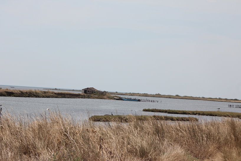 Evros Delta - Delta Arm - Greece by ADLER & Co / Caj Kessler