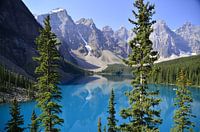 Moraine Lake in Kanada