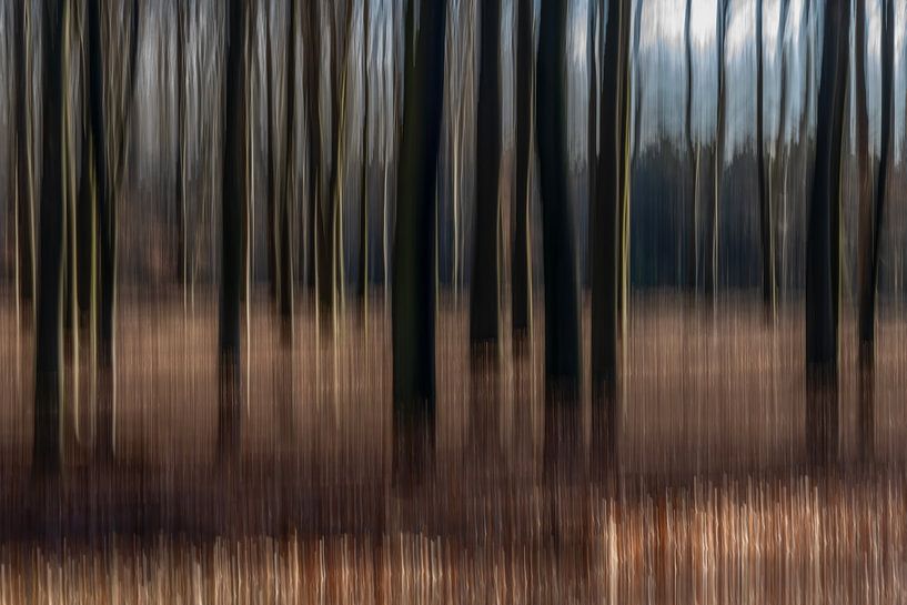 Abstrakter Herbstwald. von Albert Beukhof