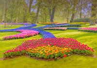 Magnifique champ de tulipes