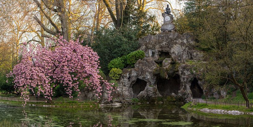 Cerisier japonais en fleurs dans un grand parc par Marcel Derweduwen