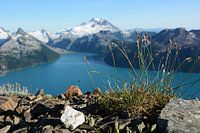Liebe Grüße vom Garibaldi Lake