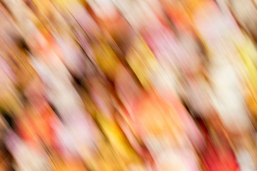 Herfstkleuren 3/3 par Arnoud Kunst