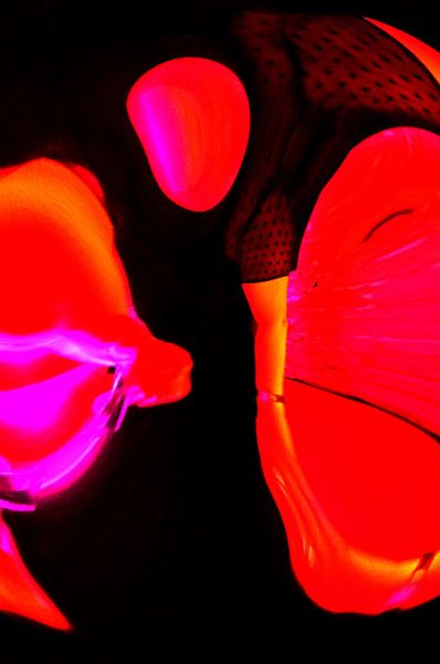 Flamenco 3, Abstrakte Kunst von Luci Boreali