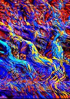 L'étranger dans les bois