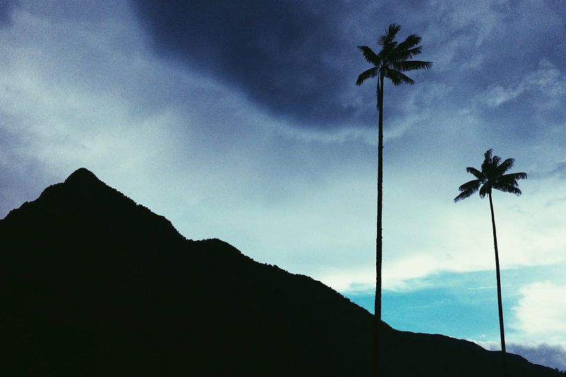 Valle Del Cocora by Walljar