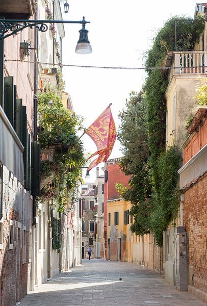 Venise par heidi borgart