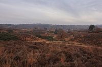 Landschaft bei der Posbank