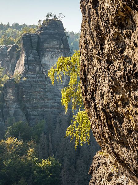 Bärenhorn terrace, Saxon Switzerland - Heringstein by Pixelwerk