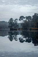 Oisterwijk Wälder und Moore Reflexion Landschaft