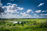 The Hague and the polder landscape
