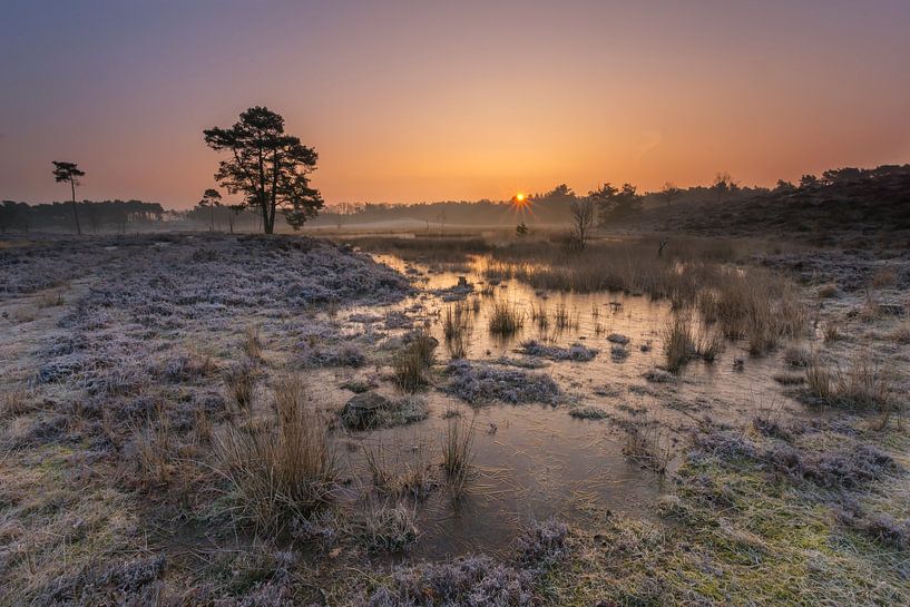 eiskalt von Jan Koppelaar Fotografie