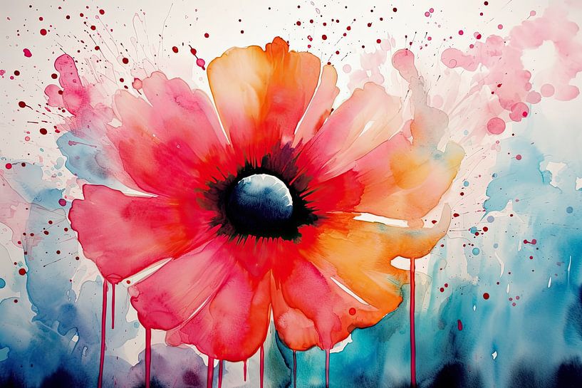 Coquelicot par Imagine