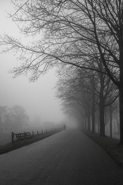 Nebel schwarz und weiß von Amber de Jongh