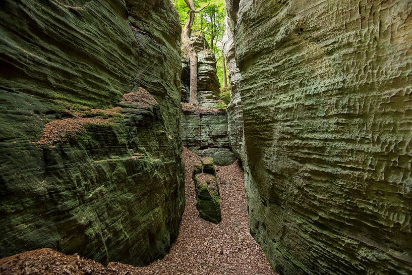 Steile Felswände von Jarno van Bussel