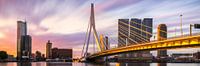 Panorama des goldenen Sonnenaufgangs Rotterdamer Erasmusbrücke