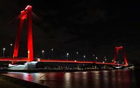 Rotterdam bei Nacht; Willemsbrug