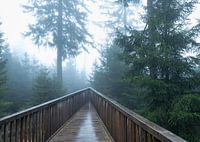 Die Natur aus Sicht des Besuchers