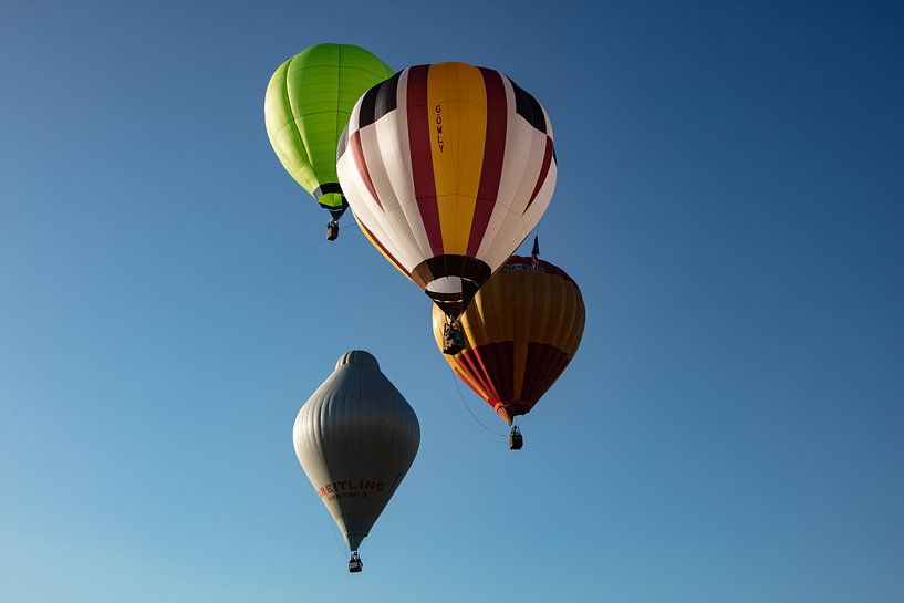 Festival de montgolfières par Cornelius Fontaine