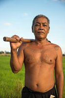 Kambodschanischer Reisbauer auf seinem Feld