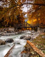 Best Picture of the Swiss trip |