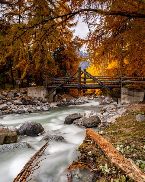 Meilleure photo du voyage en Suisse | par Tomasz_best_shots