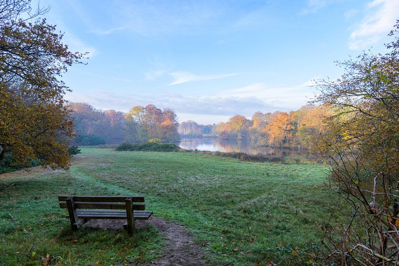 l'automne sous forme de peinture par Remco Van Daalen