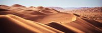 Oman Rub Al Khali Emtpy Qarter Desert Panorama