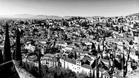 Blick über Granada