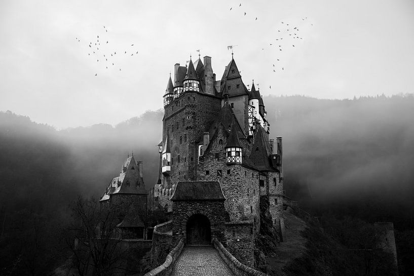 Reichsburg Eltz by Bas Graat