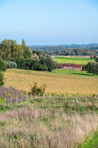 Hügel der flämischen Ardennen von Werner Lerooy
