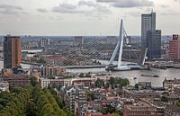 Rotterdam
