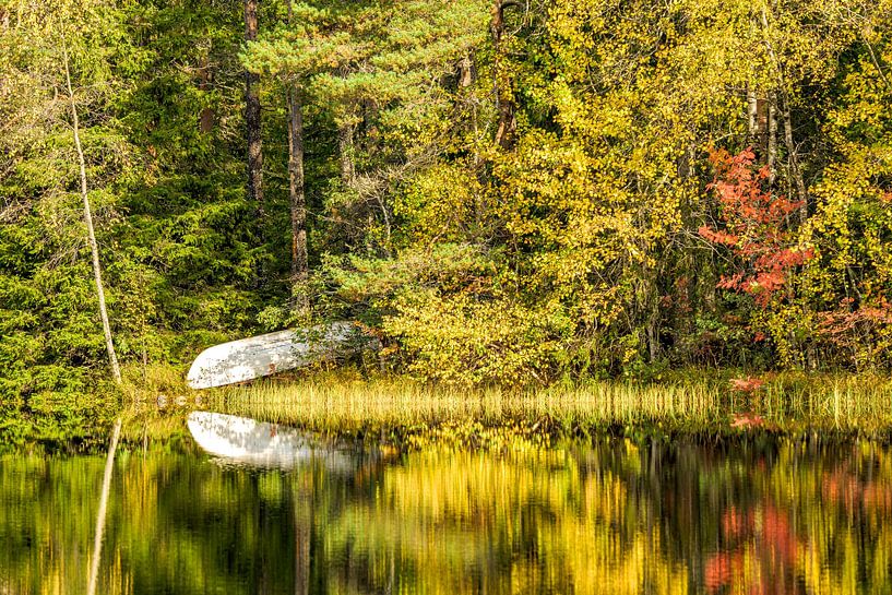 On dry land by Els Geboers