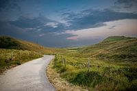 Bike path through the Dutch dunes.