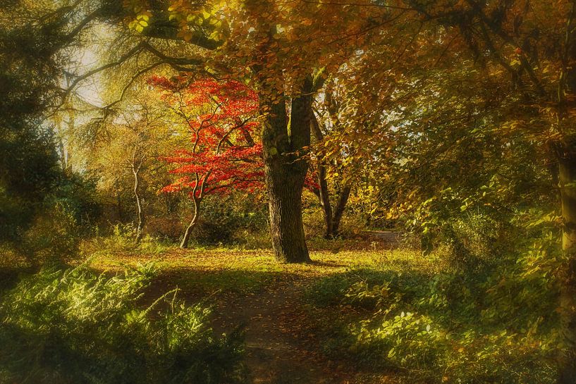 Autumn by Koos Hageraats