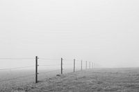 Fence in fog