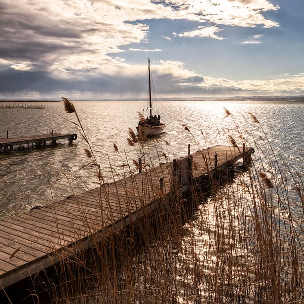 Albufera Valencia von Rob van der Teen