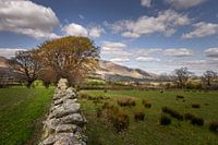 Lake District, England, Great Britain