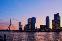 Rotterdam
