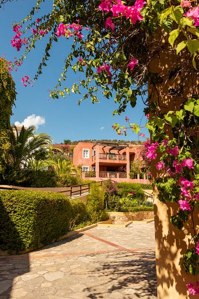 Agios Nikolaos, Crete by Aukelien Philips