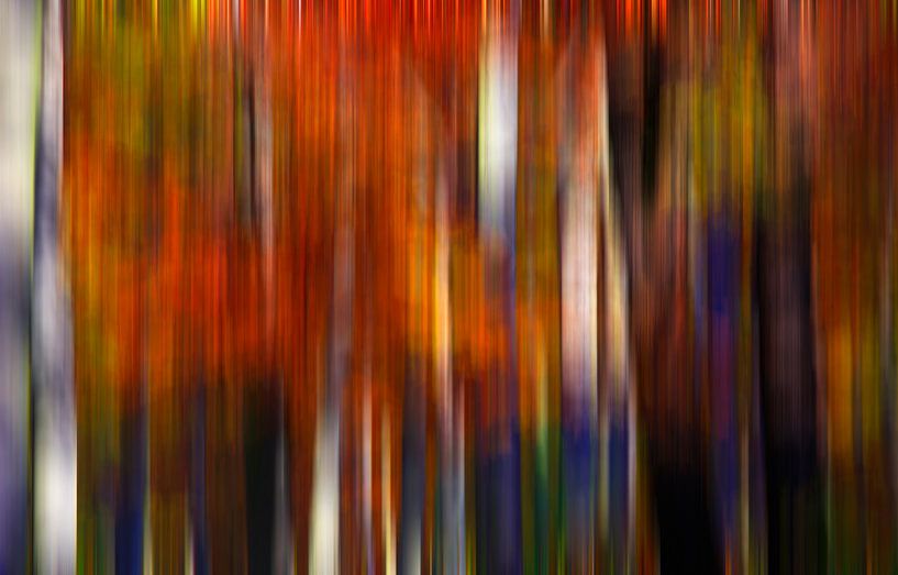 Autumn time by Thomas Jäger