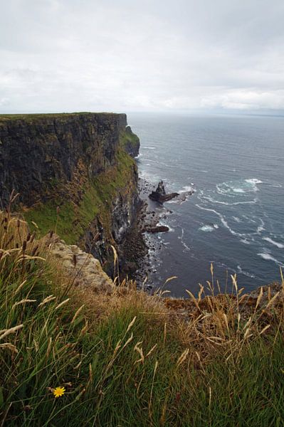 Die Cliffs of Moher sind die bekanntesten Klippen in Irland. von Babetts Bildergalerie