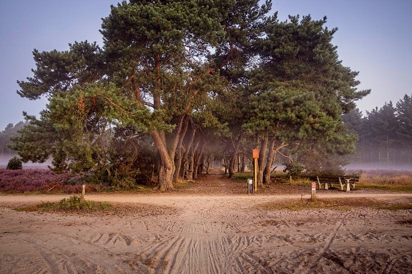 Strabrechtse Heide par Rob Boon